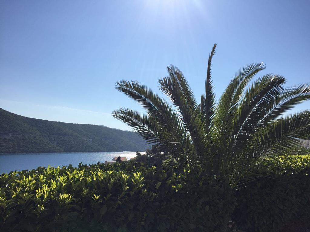 Apartments Obradovic Neum Εξωτερικό φωτογραφία